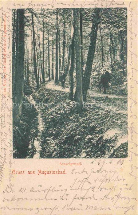 Augustusbad-Liegau Radeberg Sachsen Partie im Amselgrund