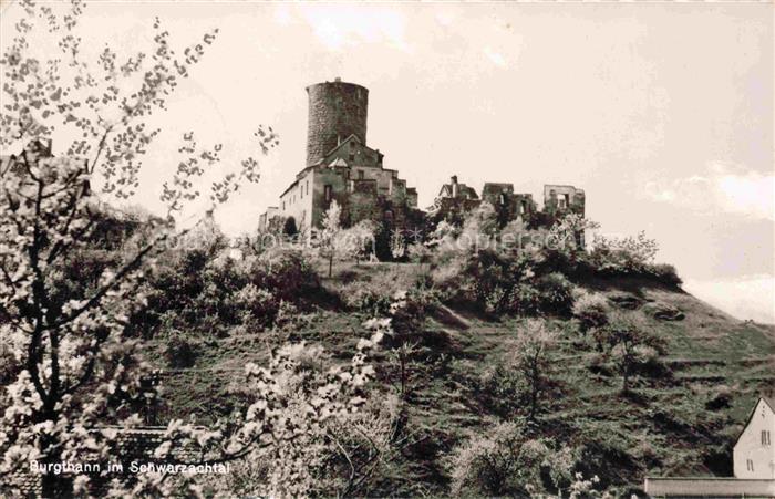Burgthann Nuernberger Land Bayern Burgruine