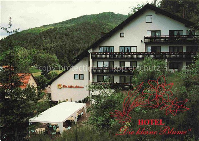 Erfweiler Pfalz Rheinland-Pfalz Hotel Die kleine Blume