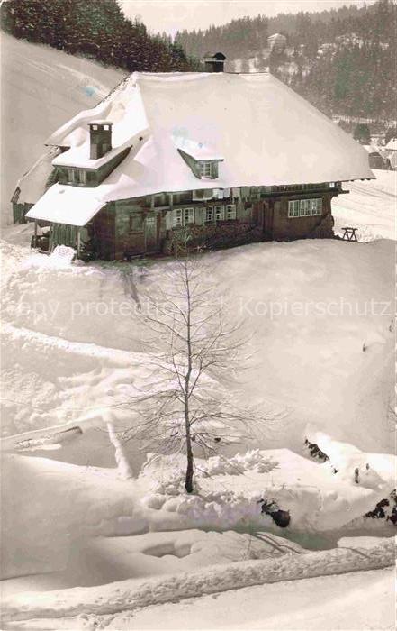 Todtmoos Schwarzwald BW Felsen-Haus Winterpanorama Schwarzwald