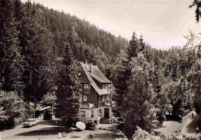 Hinterzarten Breisgau-Hochschwarzwald BW Pension Waldeck mit Gaestehaus im Schwa