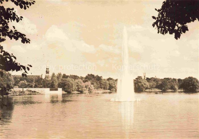 ZWICKAU  Sachsen Schwanenteich Fontaene