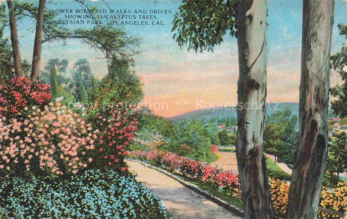 LOS ANGELES California USA Elysian Park