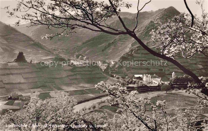 Lochmuehle Ahrtal Mayschoss Ahrweiler Rheinland-Pfalz Ansicht vom Waldrand aus F