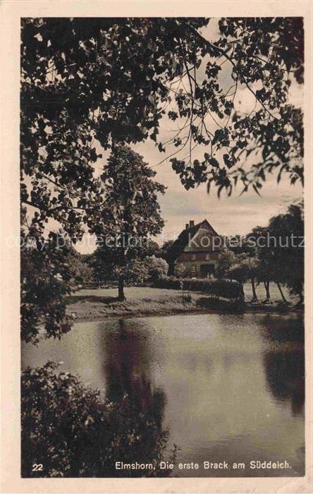 ELMSHORN Pinneberg Schleswig-Holstein Die erste Brack am Sueddeich