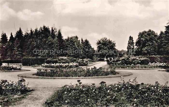 ELMSHORN Pinneberg Schleswig-Holstein Partie im Rosengarten