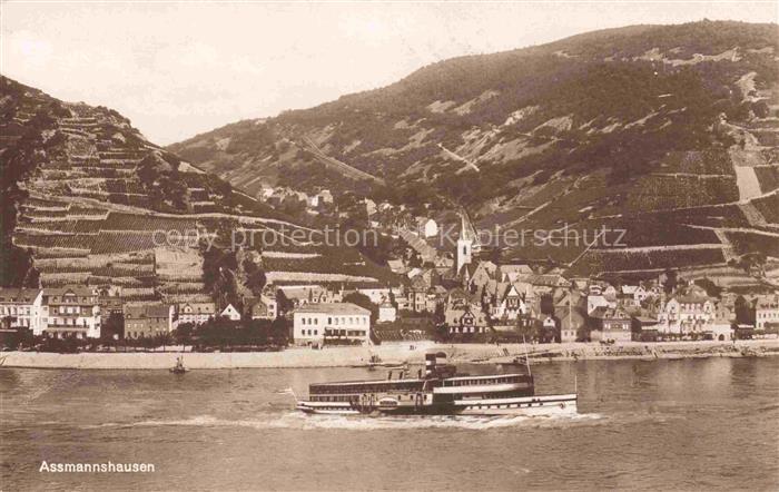 AssMANNSHAUSEN Rhein Blick ueber den Rhein zum Ort Rheindampfer