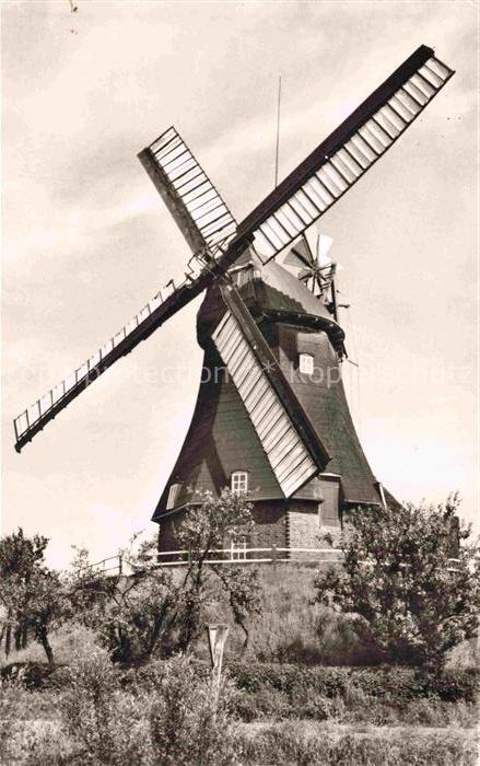 Kollmar Holstein Steinburg Schleswig-Holstein Greves-Muehle