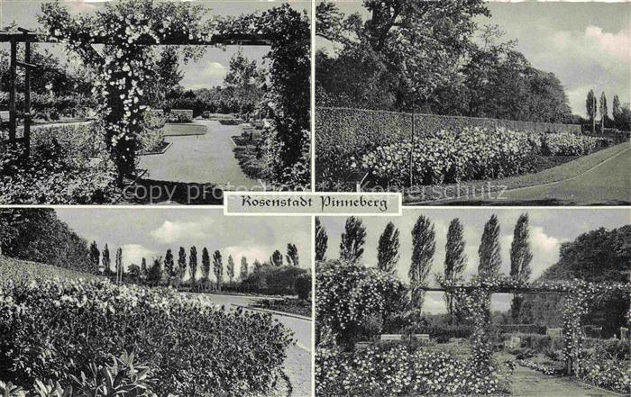 Pinneberg Schleswig-Holstein Rosengarten