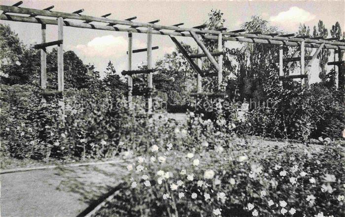 Pinneberg Schleswig-Holstein Rosengarten