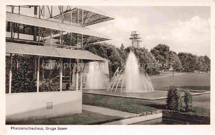EssEN  Ruhr Pflanzenschauhaus Gruga Park