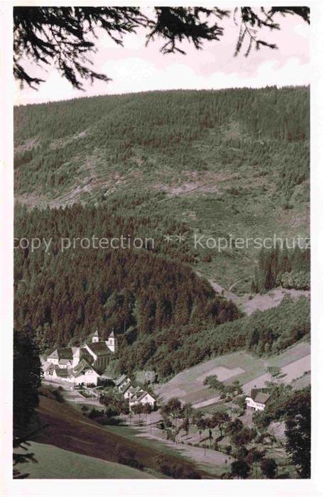 BAD RIPPOLDSAU-SCHAPBACH Panorama Blick ins Tal Kloesterle