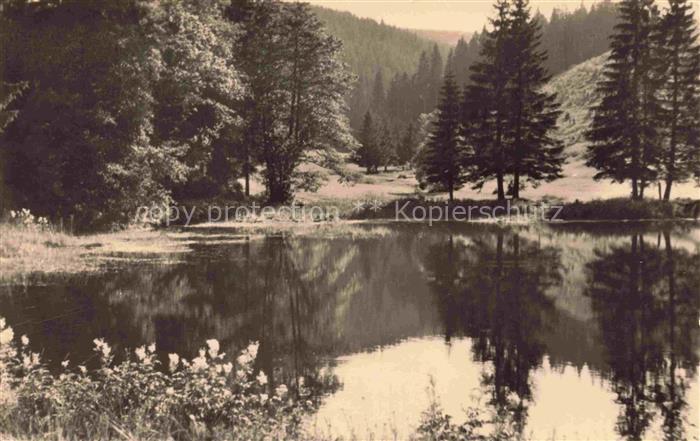 Gehlberg Thueringen Am Hungertalteich