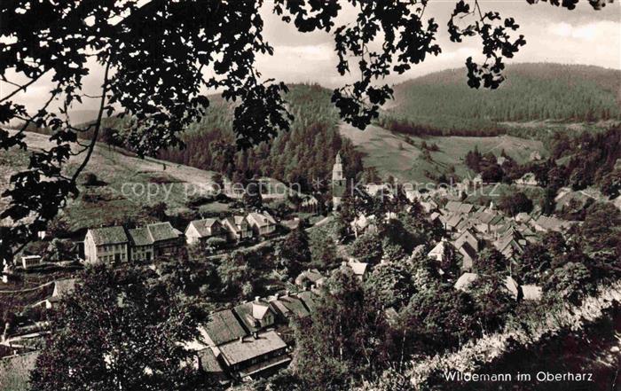 Wildemann Harz Goslar Niedersachsen Panorama Ansicht vom Waldrand aus