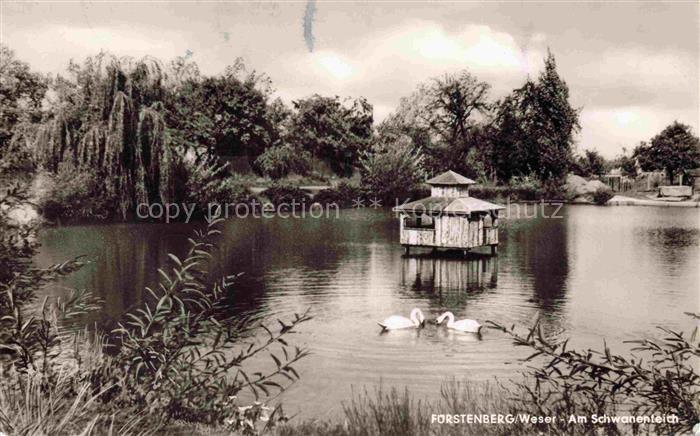 Fuerstenberg Weser Niedersachsen Partie am Schwanenteich
