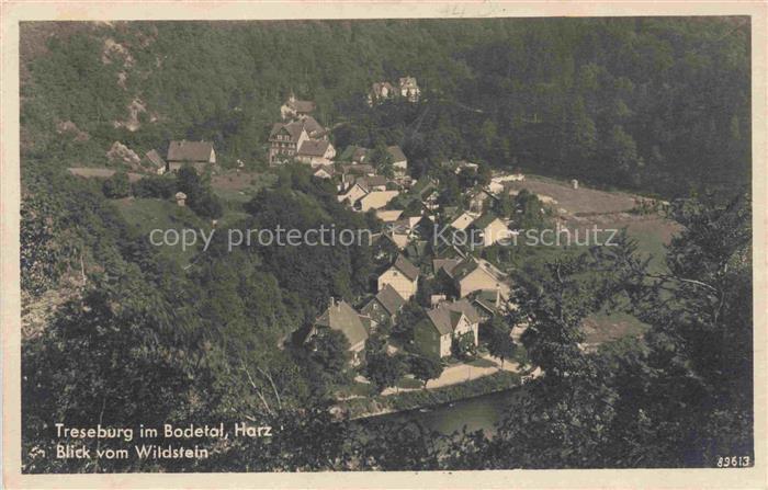 Treseburg Thale Harz Sachsen-Anhalt Blick vom Wildstein