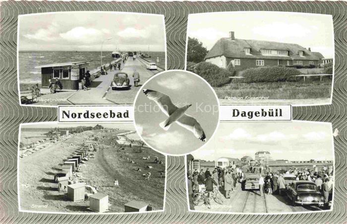 Dagebuell Nordfriesland Schleswig-Holstein Hafen Reetdachhaus Strand Moewe