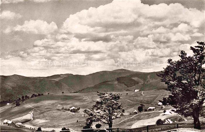 Schauinsland Oberried BW Panorama Blick zum Feldberg ueber Hofsgrund Schwarzwald