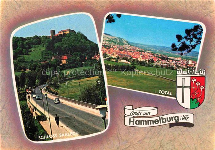 Hammelburg Bad Kissingen Bayern Schloss Saaleck Total