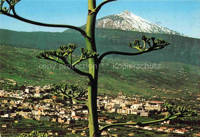 La Orotava Tenerife ES Panorama y Pico del Teide
