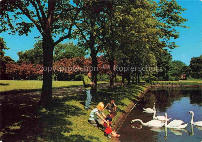 EMDEN  Ostfriesland Partie am Schwanenteich Schwaene