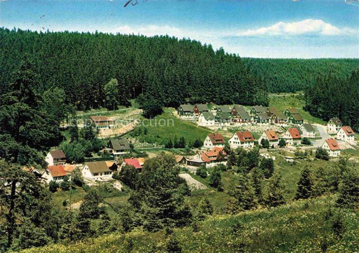 Altenau Harz Gemkenthal Niedersachsen Blick zur Bornkappe