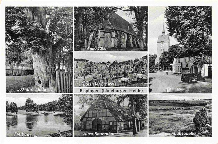 Bispingen 500jaehrige Linde Freibad Kirche anno 1300 Landschaftspanorama Borstel