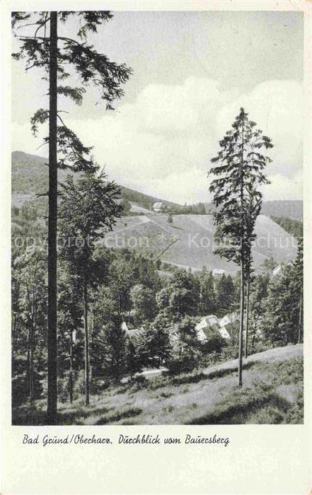 Bad Grund Harz Osterode Niedersachsen Panorama Durchblick vom Bauersberg