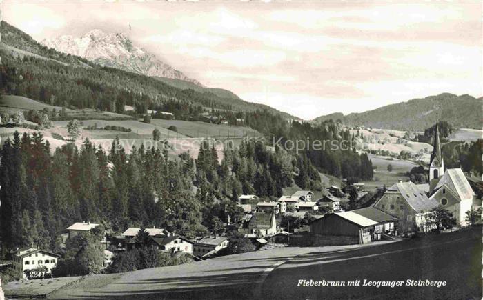 Fieberbrunn Kitzbuehel Tirol AT Panorama Blick gegen Leoganger Steinberge