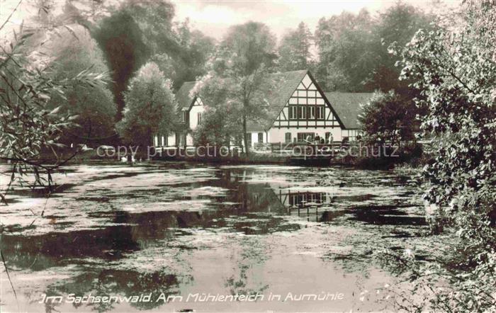 AUMueHLE  Lauenburg Schleswig-Holstein Am Muehlenteich im Sachsenwald