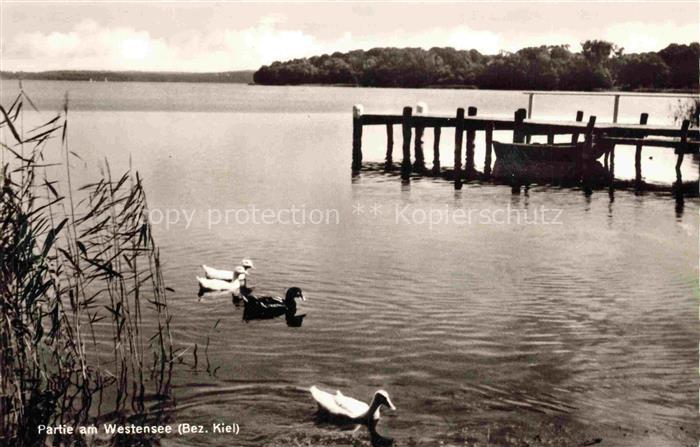 KIEL  CITY Partie am Westensee Enten Steg