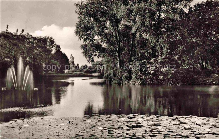 Gronau Westfalen Borken NRW Stadtpark Teich Seerosen Fontaene