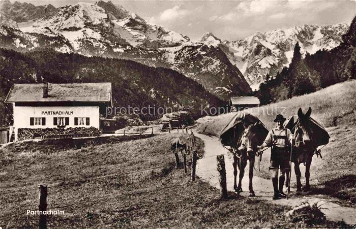 Partnachalm Garmisch-Partenkirchen Bayern Ausflugsziel ueber der Partnachklamm L