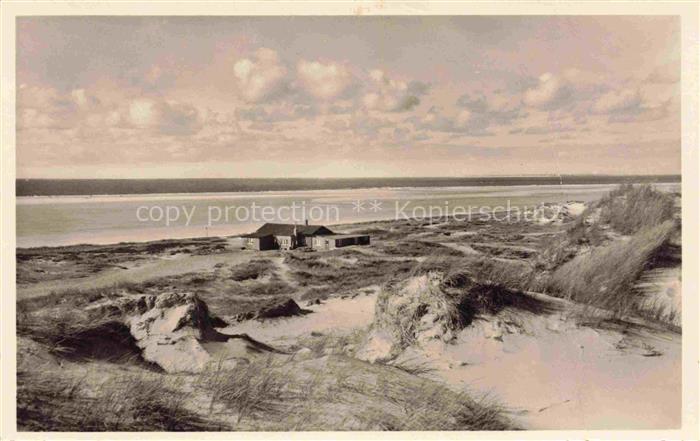 AMRUM Insel Nebel Nordfriesland Jugendheim Batje Stig Duenen