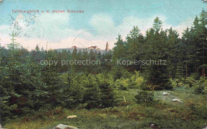 Feldberg 882m Taunus Schmitten Hessen Blick zum Feldberg von der steilen Schneis