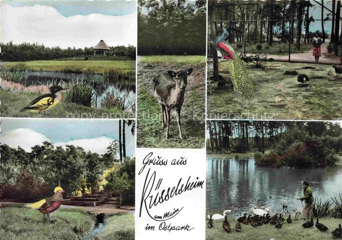 RuessELSHEIM Main Gross-Gerau Hessen Motive aus dem Ostpark