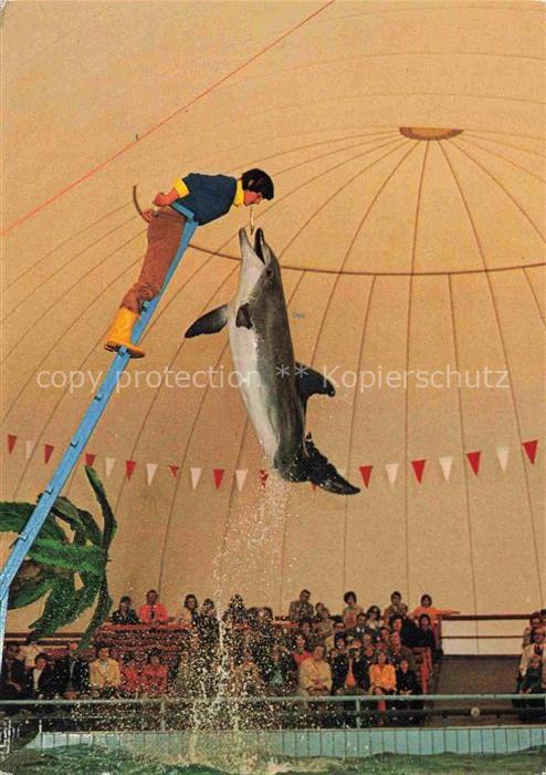 Wallerstaedten Gross-Gerau Hessen Safariland Delhin-Schau