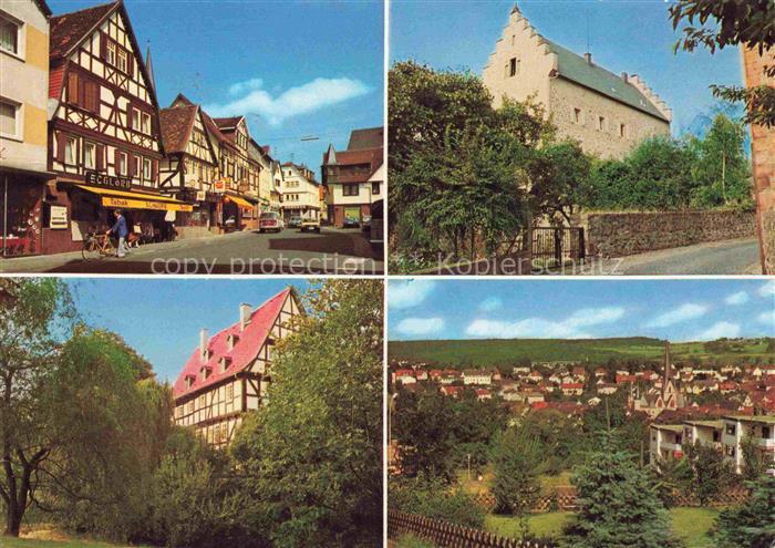 Schotten  Vogelsbergkreis Hessen Vogelsbergstrasse Schloss Alteburg Wassergraben