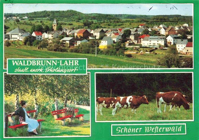 Lahr Waldbrunn Westerwald Hessen Ortsansicht mit Kirche Ruhebank Viehweide Kuehe