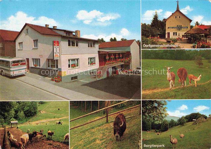 Erlenbach  Fuerth Odenwald Bergstrasse Hessen Gaststaette zum Schorsch Dorfgemei