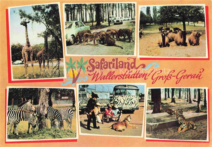 Wallerstaedten Gross-Gerau Hessen Safariland Tierpark