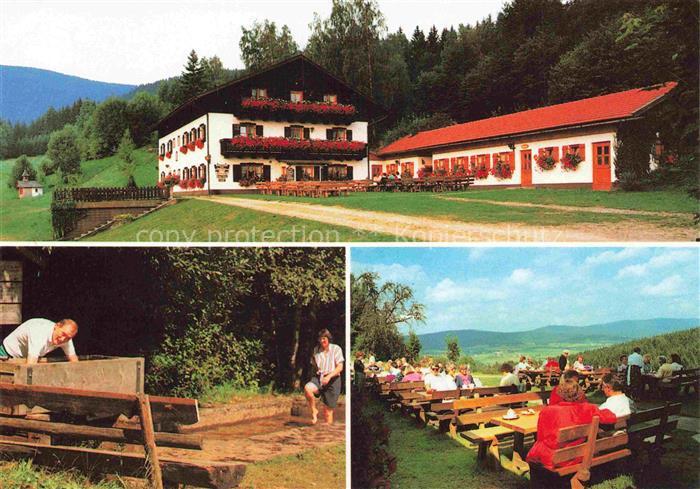 Hohenwarth Bayerischer Wald Koetzting Cham Bayern Tagescafé Dachs Simmereinoede