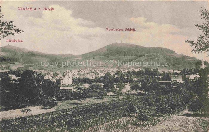 Auerbach Bergstrasse Bensheim Hessen Melibokus Auerbacher-Schloss Panorama Bergs