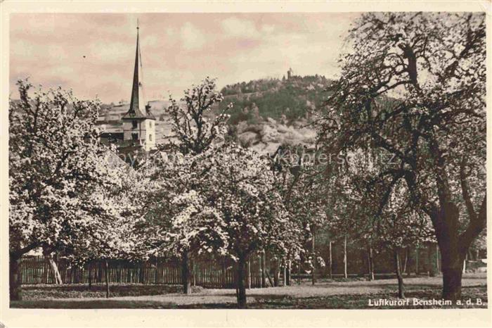 Bensheim Bergstrasse Hessen Obstbaumbluete Kirchturm Burgberg Fruehlingsbluete B