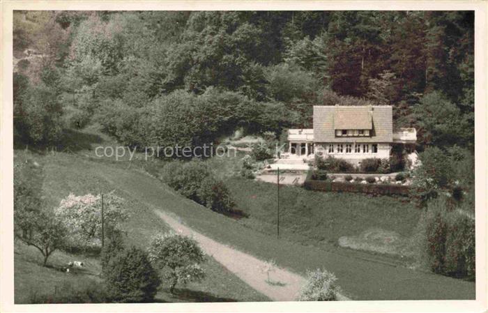 Linden Reichenbach Villa Waldlage Hanglage Wiese Weg Obstbaeume