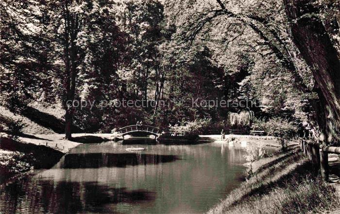 Auerbach Bergstrasse Bensheim Hessen Schwanenteich Fuerstenlager Bruecke Park Te