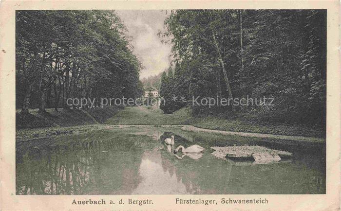 Auerbach Bergstrasse Bensheim Hessen Schwanenteich Fuerstenlager Schwaene Teich