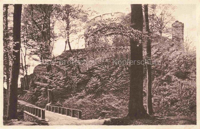 Auerbach Deggendorf Schlossbruecke Schloss Burgmauer Ruine Baeume Wald Weg Gelae