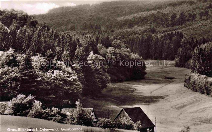 Gras-Ellenbach Grasellenbach Bergstrasse Hessen Gassbachtal Tal Nadelwald Fichte