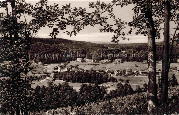 Gras-Ellenbach Grasellenbach Bergstrasse Hessen Tal Nadelwald Laubwald Huegellan